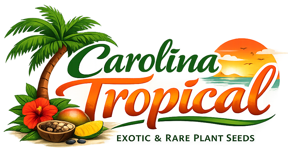 Carolina Tropical - Exotic & Rare Plant Seeds